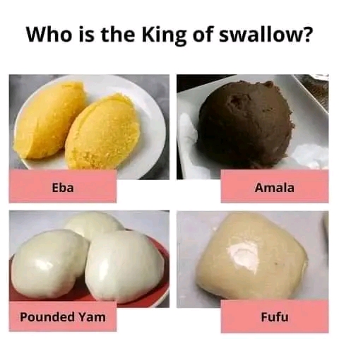 Who is the king of swallow??
