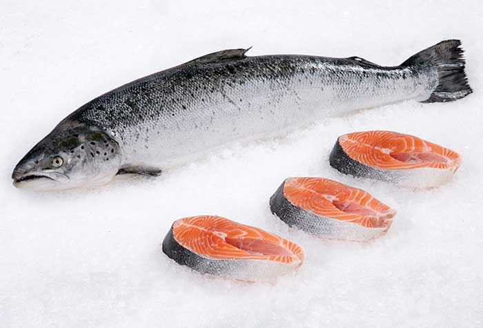 10 Health Benefits of Salmon 