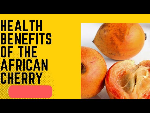 9 BENEFITS OF AFRICAN CHERRY (UDARA/AGBALUMO