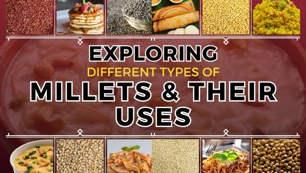 TYPES OF MILLETS AND THEIR USES 